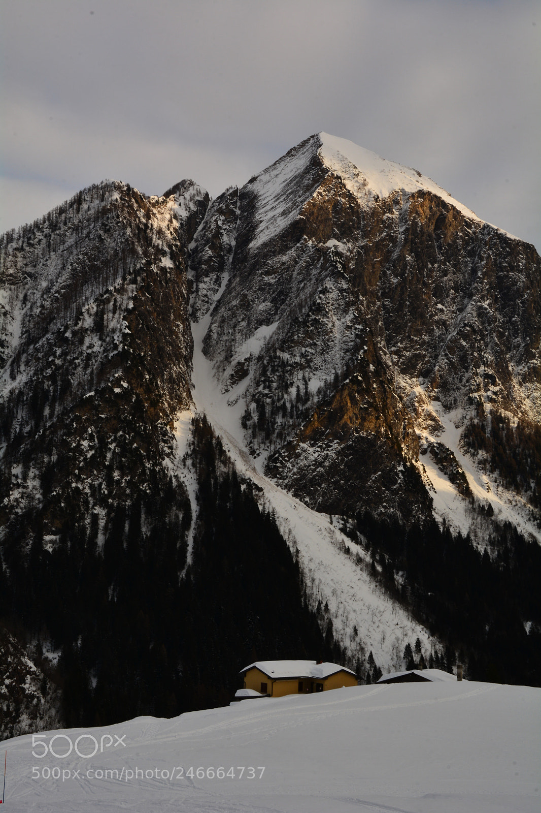Nikon D7100 sample photo. Ciaspolata in val di photography