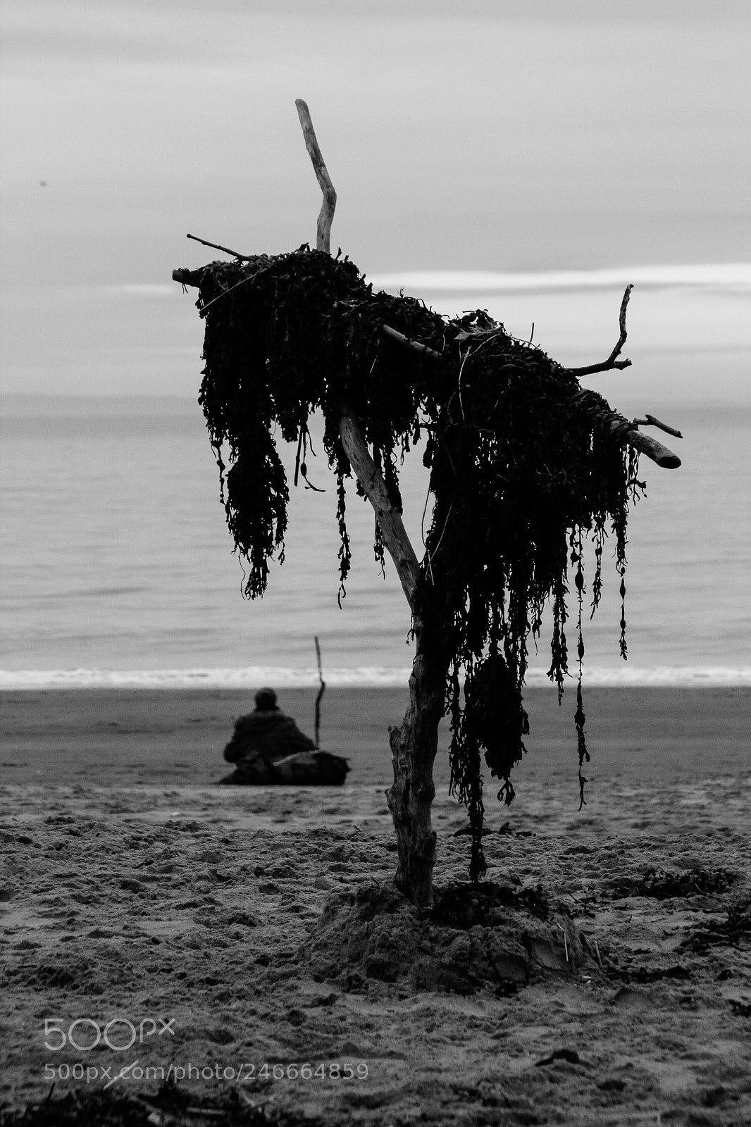 Canon EOS 600D (Rebel EOS T3i / EOS Kiss X5) sample photo. Resting wonderer photography