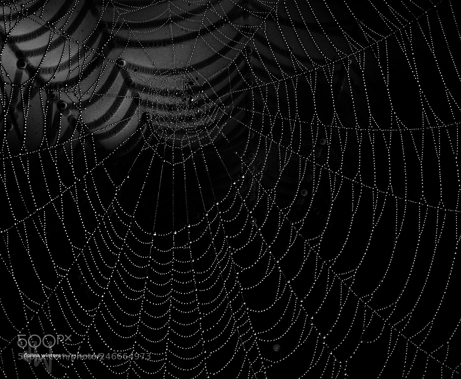 Nikon D610 sample photo. Web galaxy photography