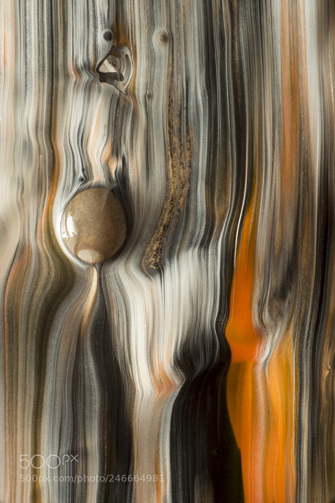 Sony a7R sample photo. Plate 6169 photography
