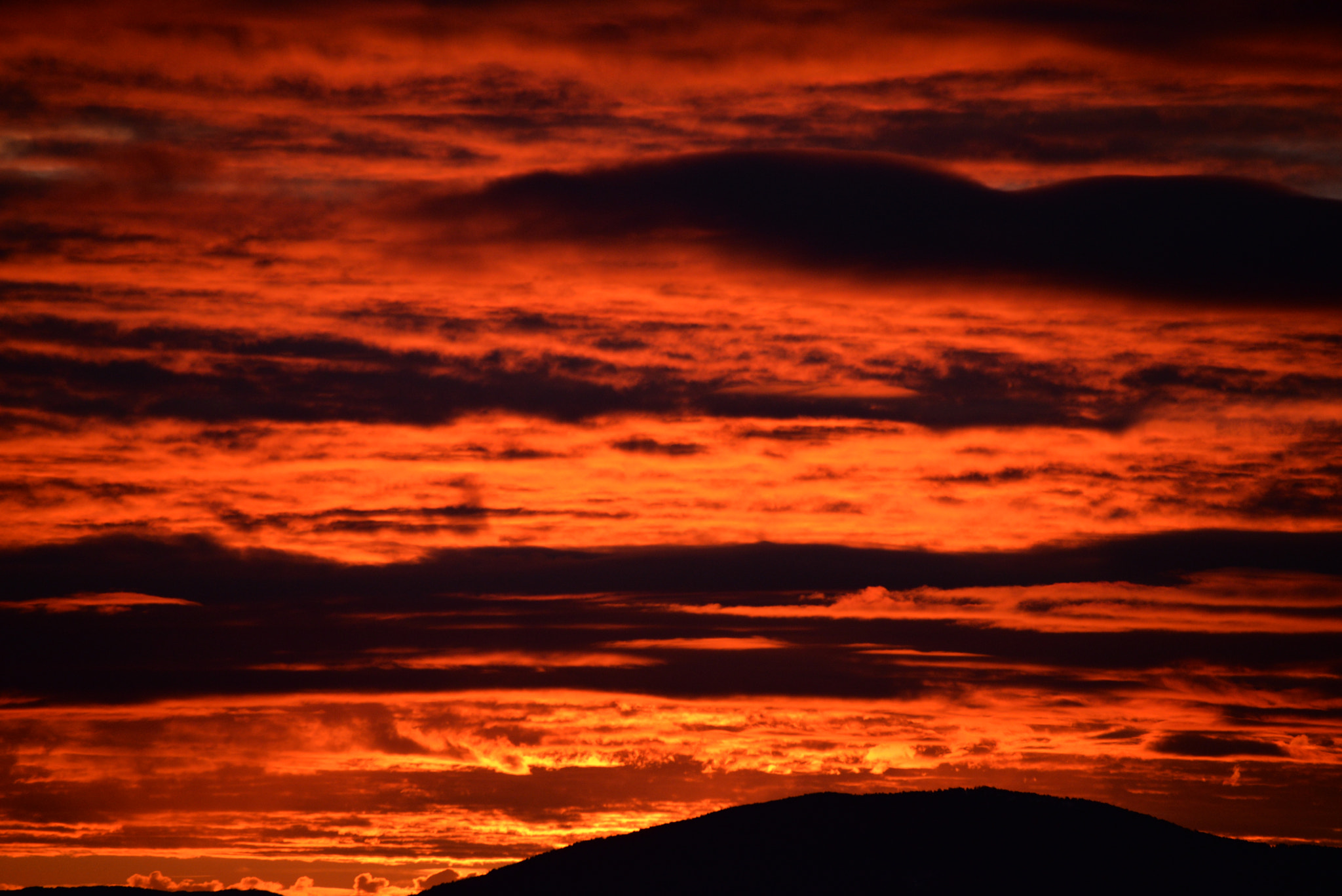 Nikon D610 sample photo. Red sky photography