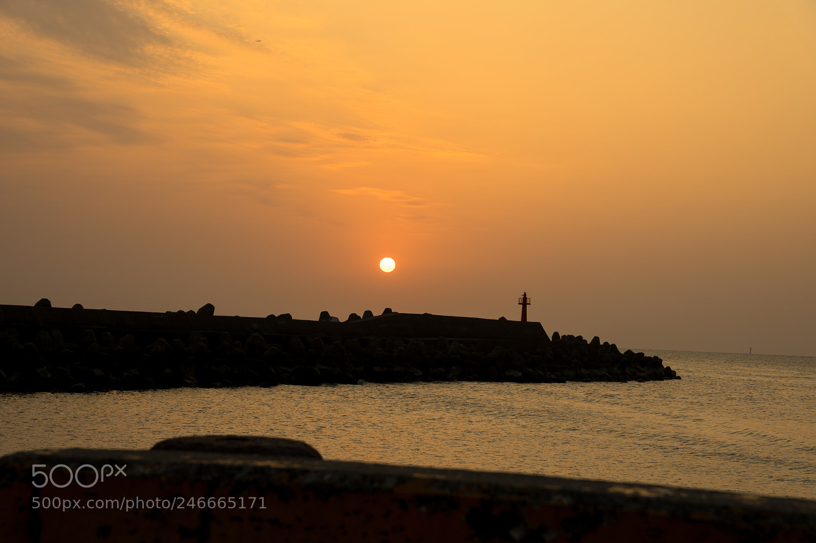 Sony a7 II sample photo. 39650093064.jpg photography
