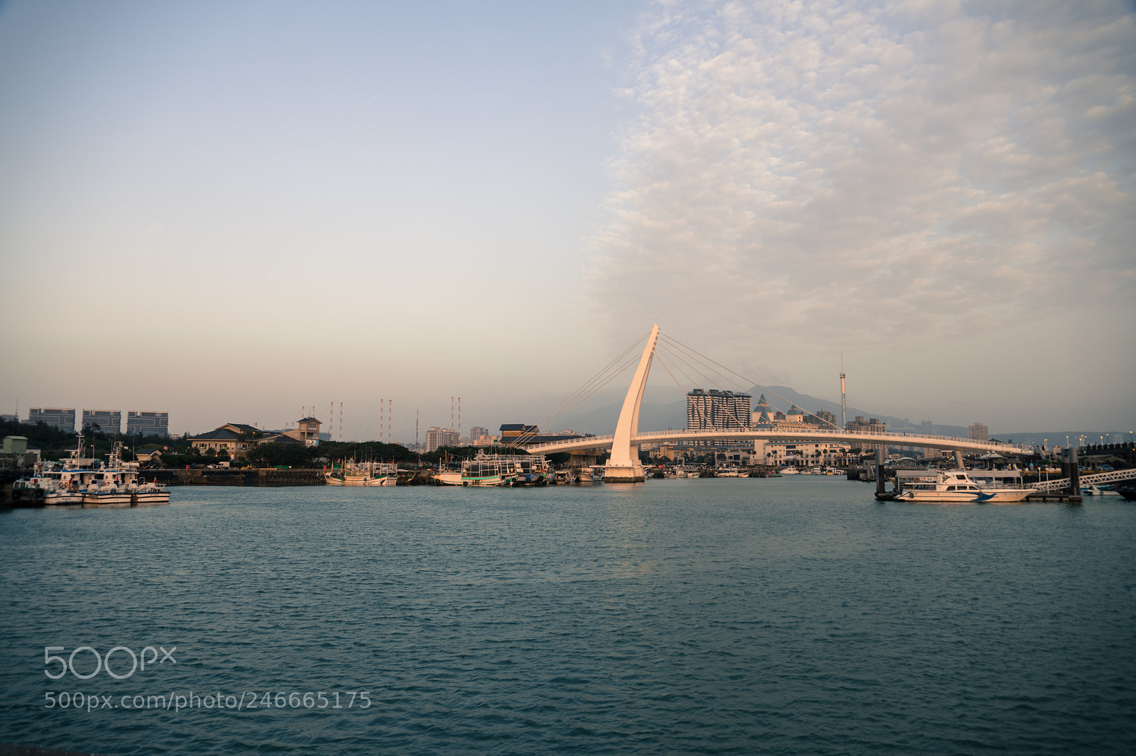 Sony a7 II sample photo. 39463832325.jpg photography