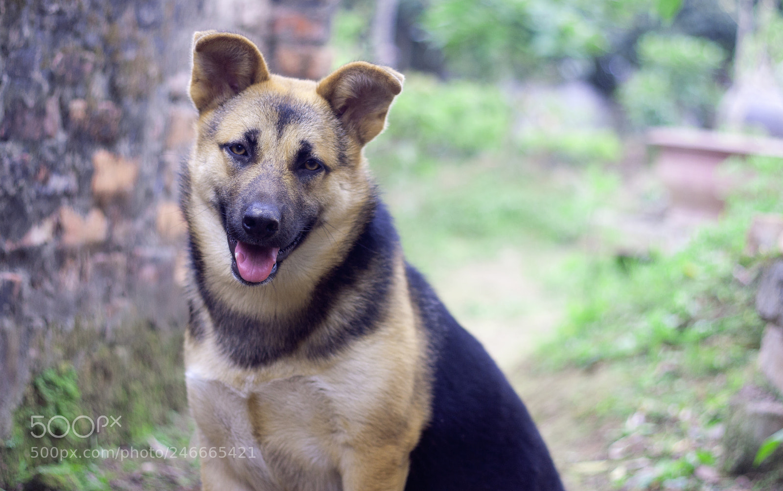 Canon EOS 40D sample photo. 2018 :) photography