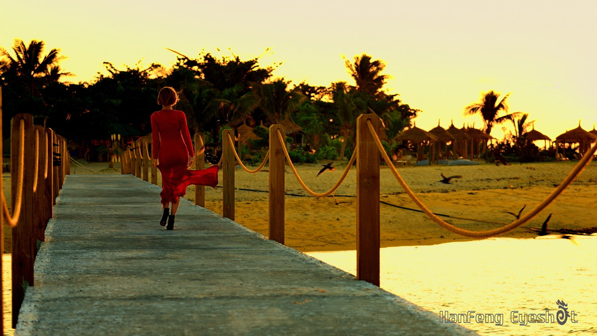 Nikon D800E sample photo. 海边 photography