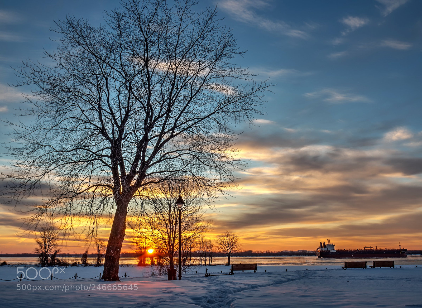 Olympus OM-D E-M10 II sample photo. Golden hour photography