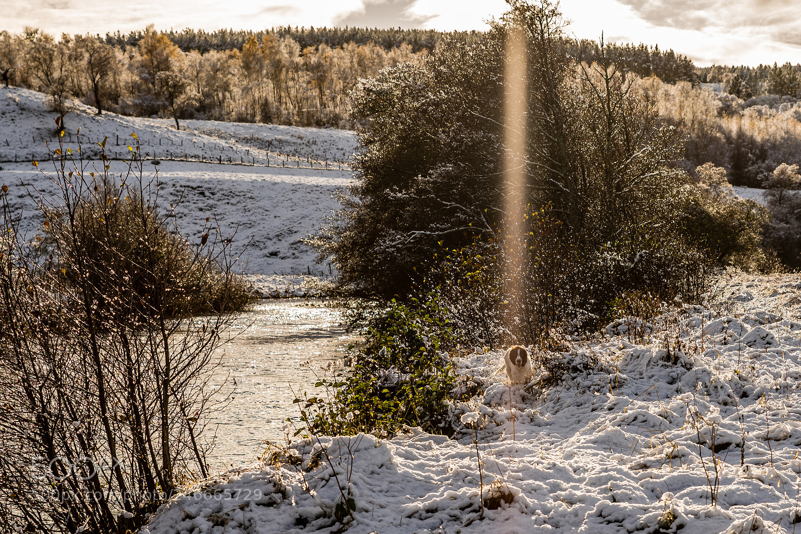 Pentax K-1 sample photo. Beam me up scotty photography