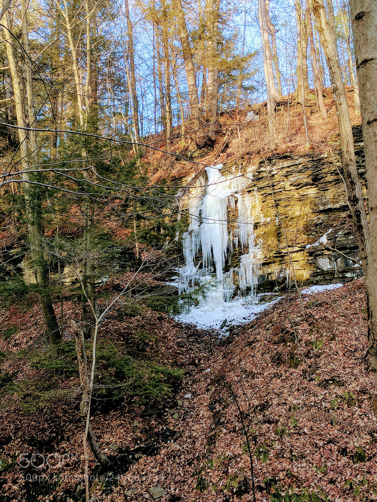 Google Pixel sample photo. Icy hillside photography