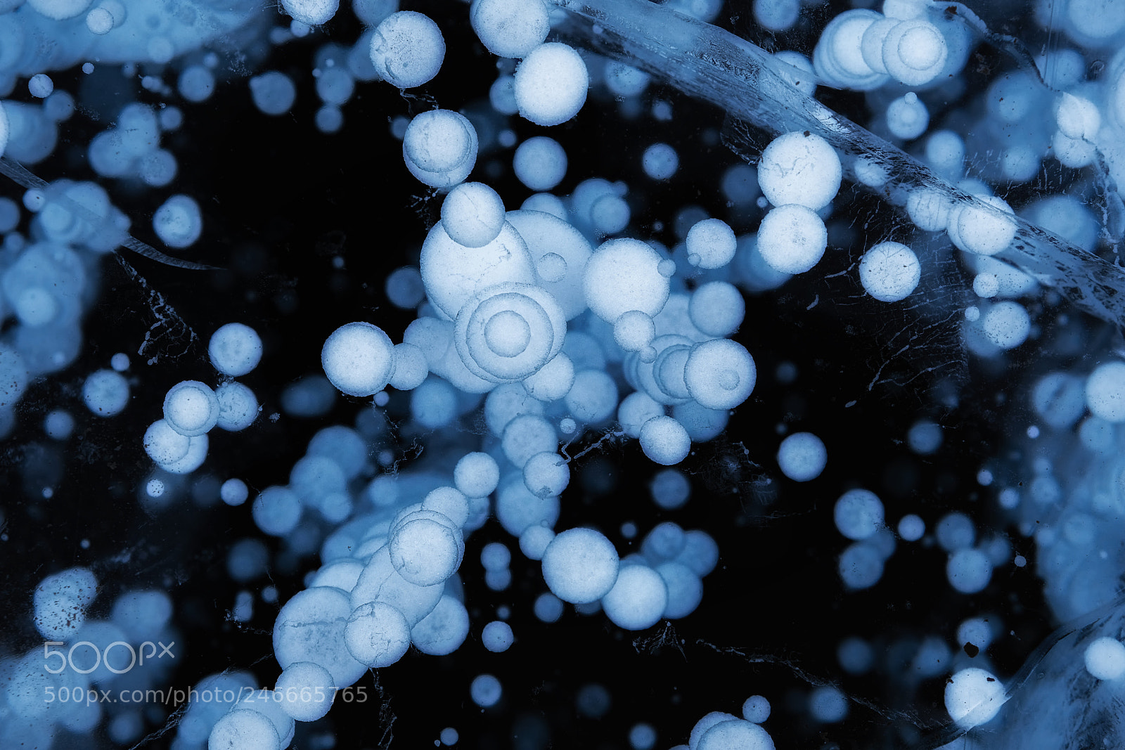 Fujifilm X-T2 sample photo. Ice breathing photography