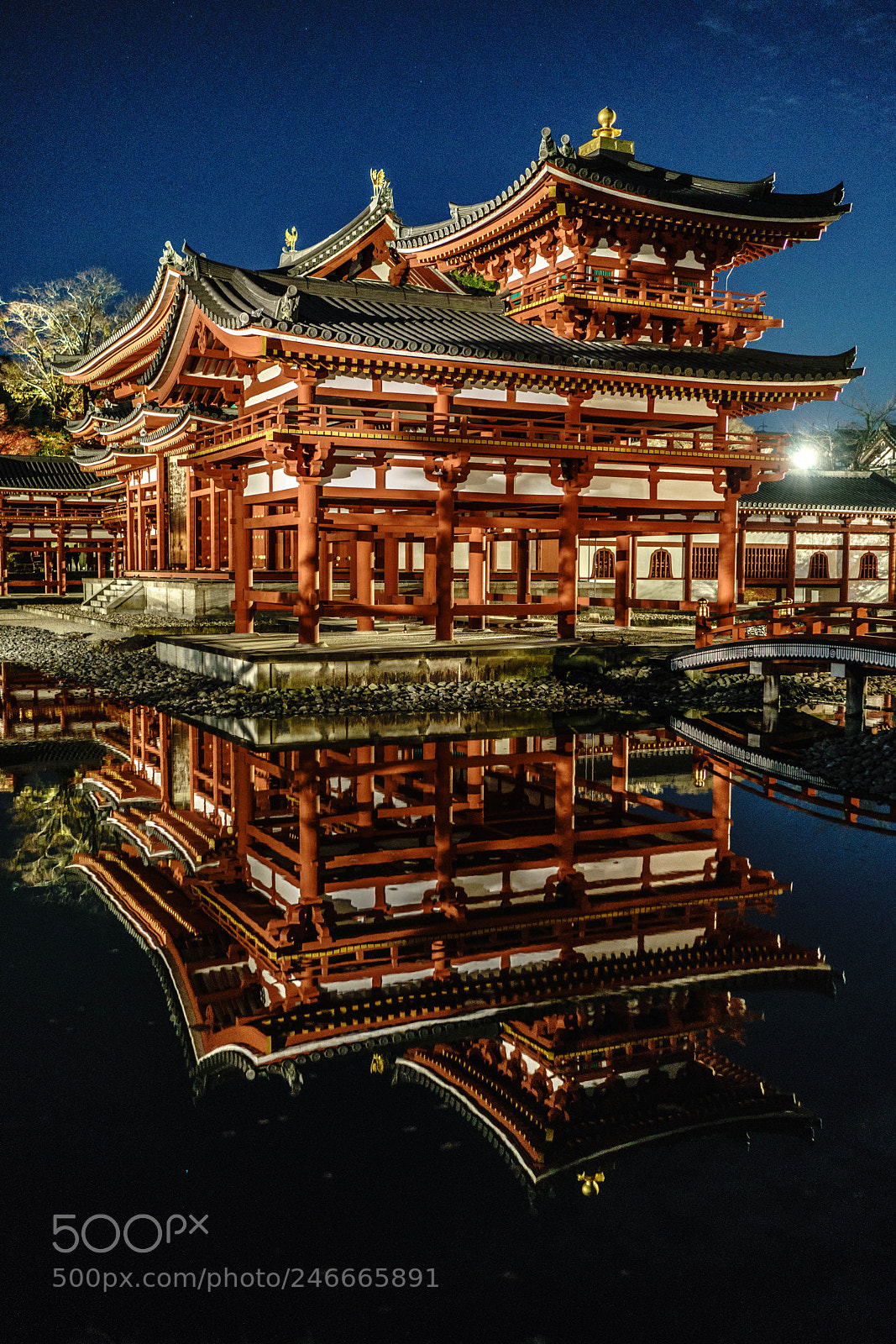 Sony a7R II sample photo. Byodoin temple_night_2017 photography
