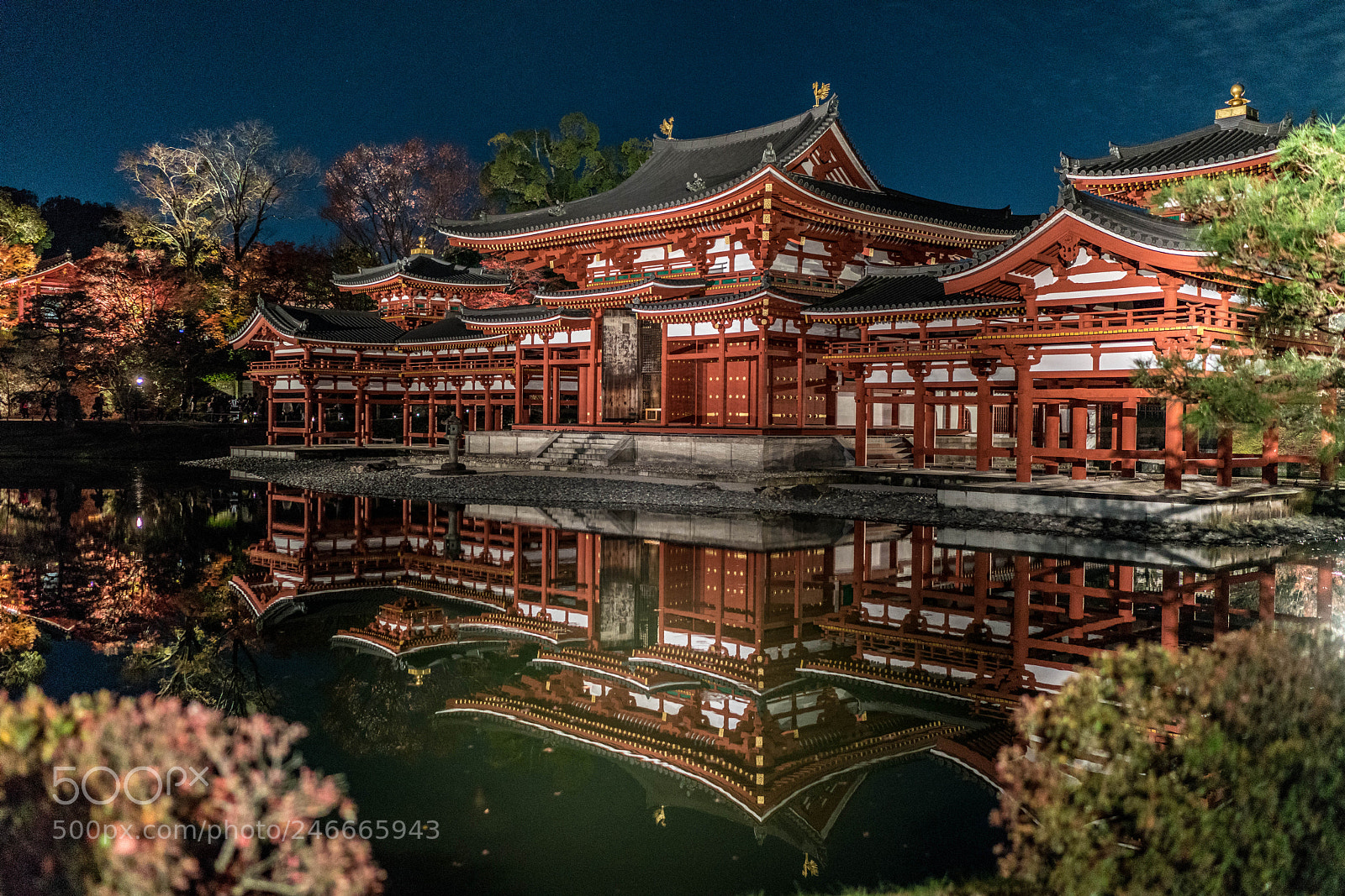 Sony a7R II sample photo. Byodoin temple_night_2017 photography