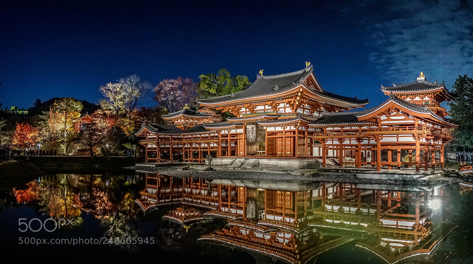 Sony a7R II sample photo. Byodoin temple_night_2017 photography