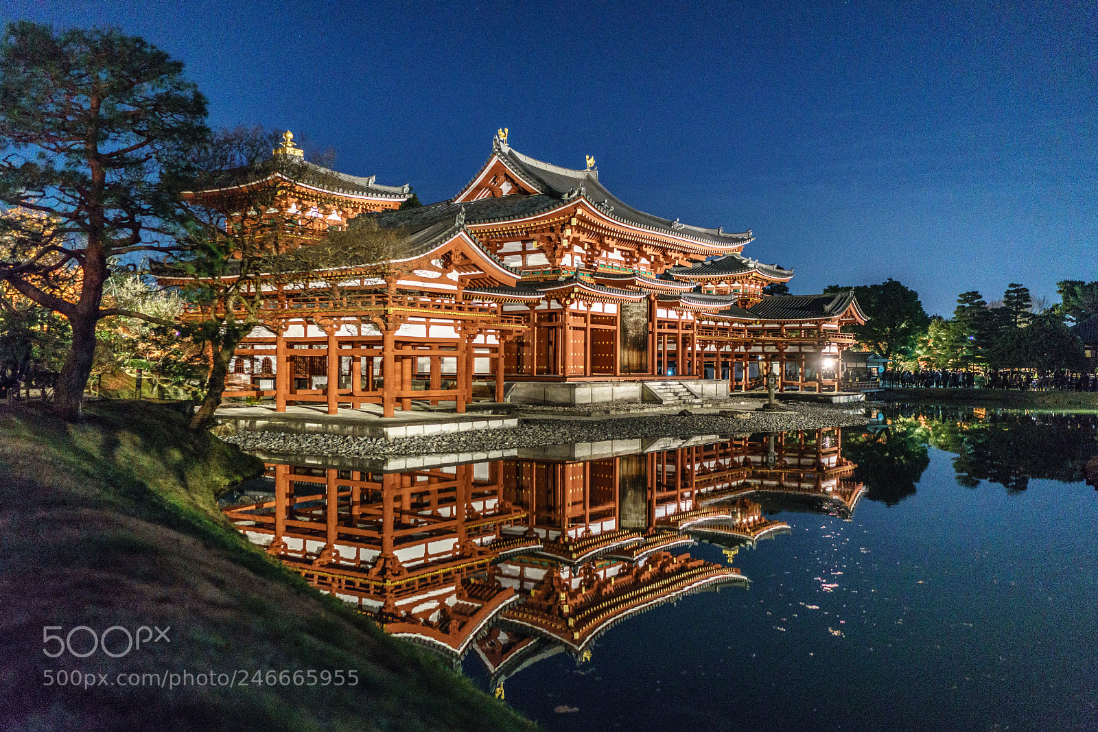 Sony a7R II sample photo. Byodoin temple_night_2017 photography
