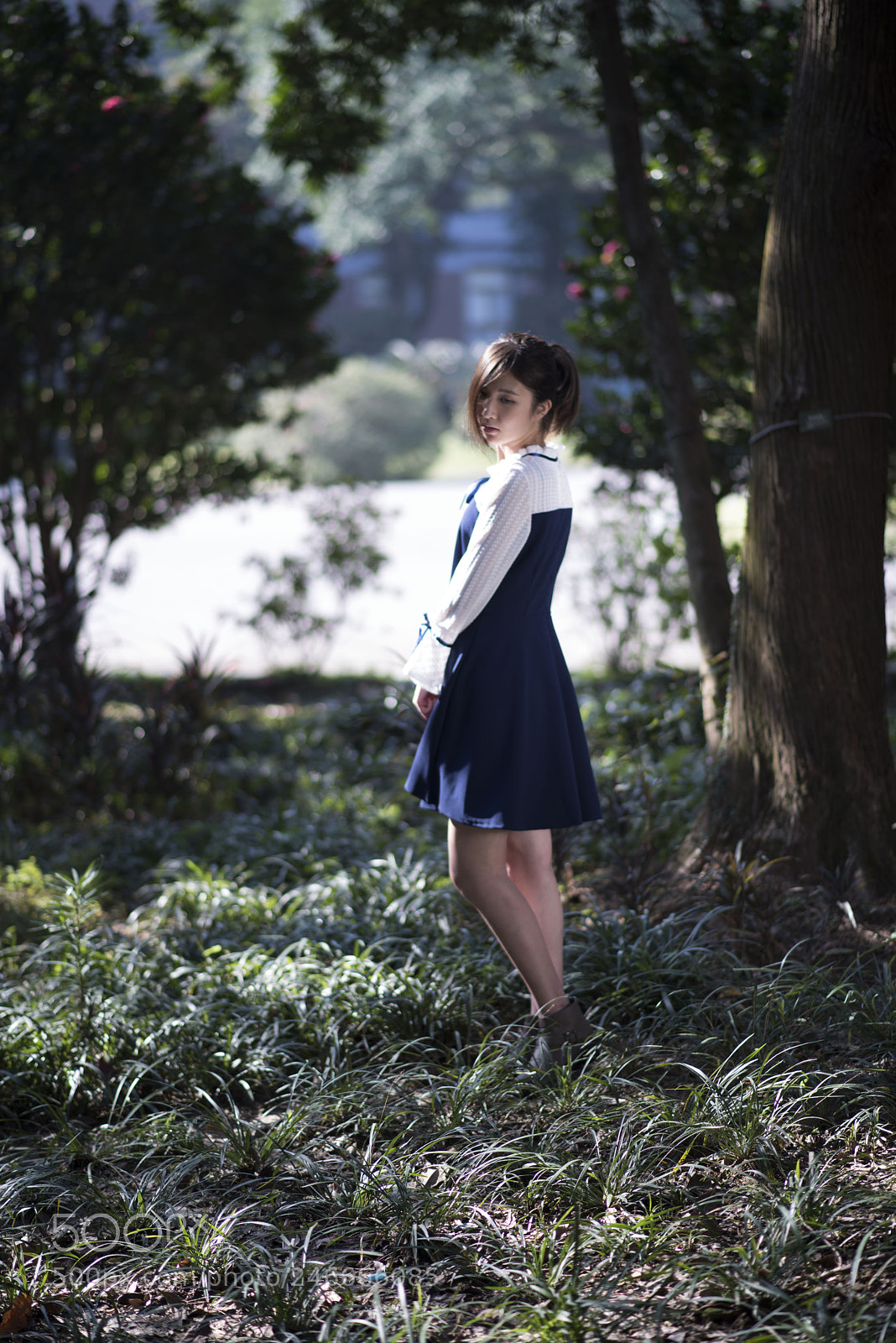 Nikon D810 sample photo. 39650634904.jpg photography