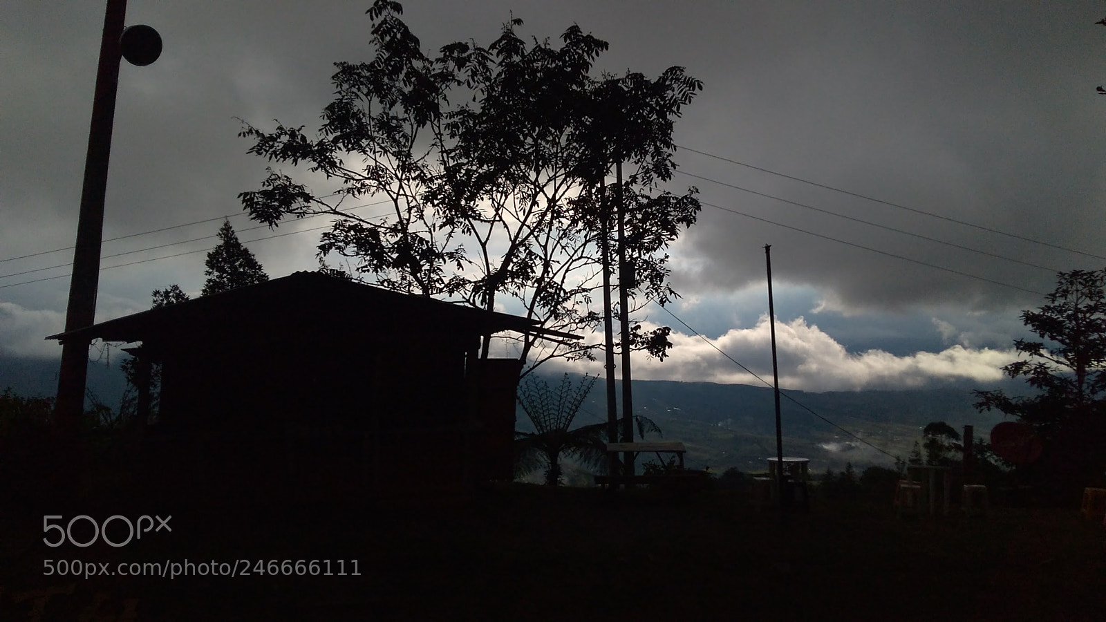 Motorola Moto G Play sample photo. Untitled photography