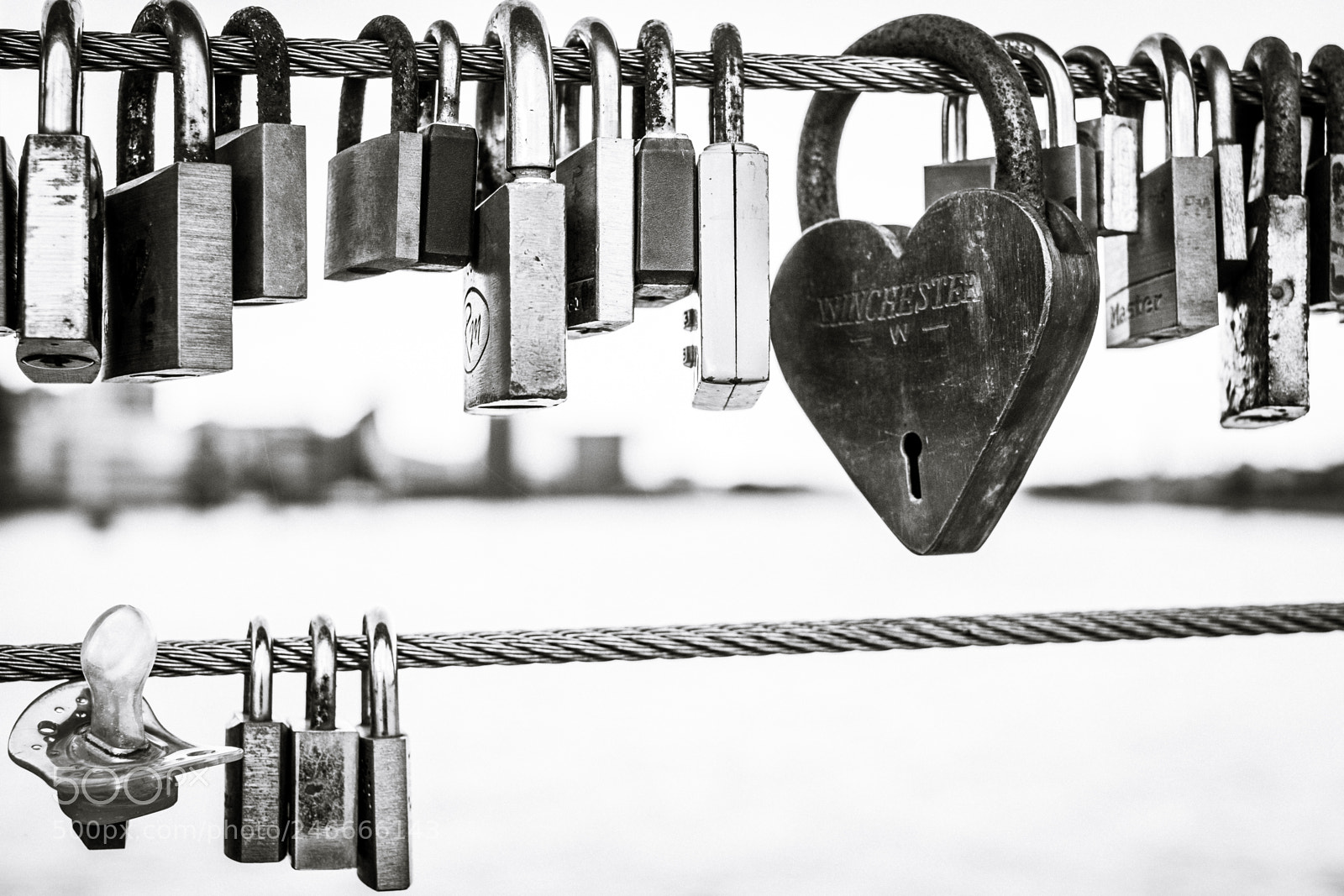 Fujifilm X-T2 sample photo. Love on wire photography