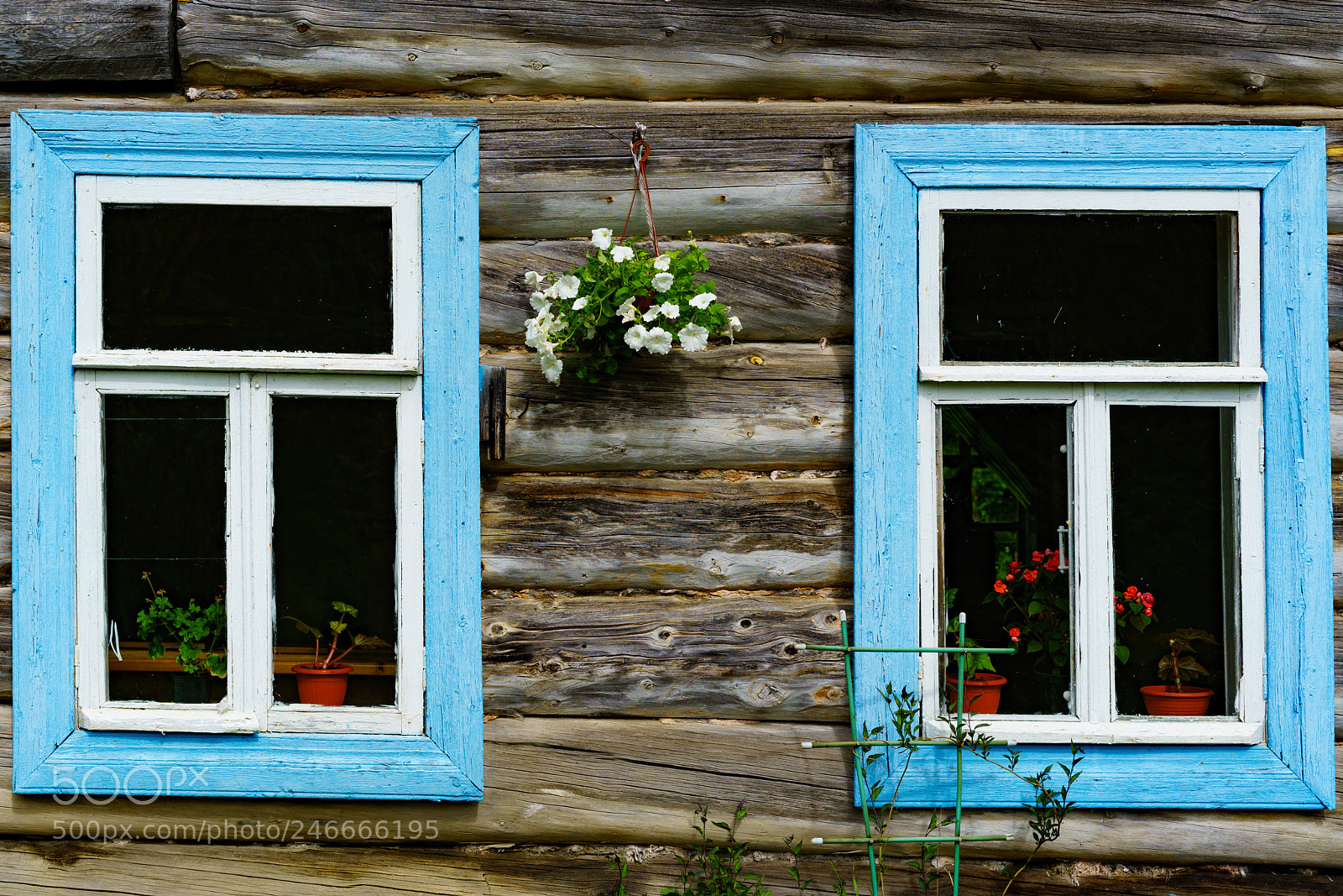 Sony a7R II sample photo. Solovki 8. photography