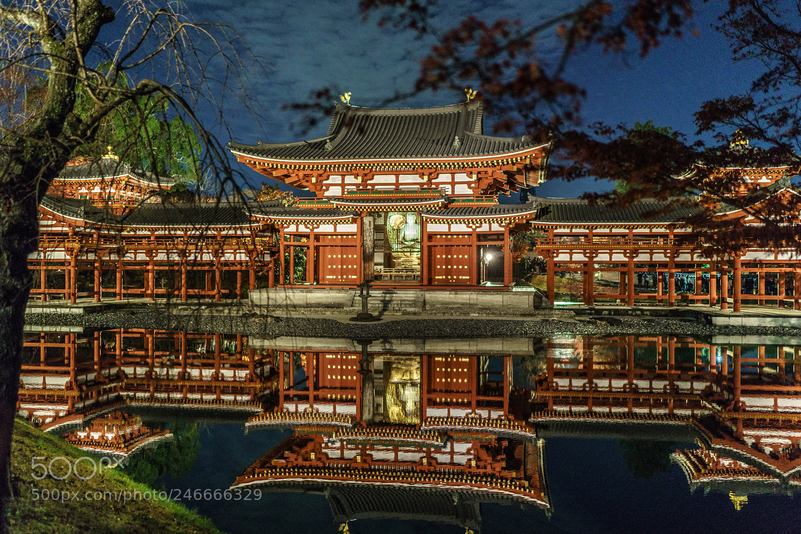 Sony a7R II sample photo. Byodoin temple_night_2017 photography
