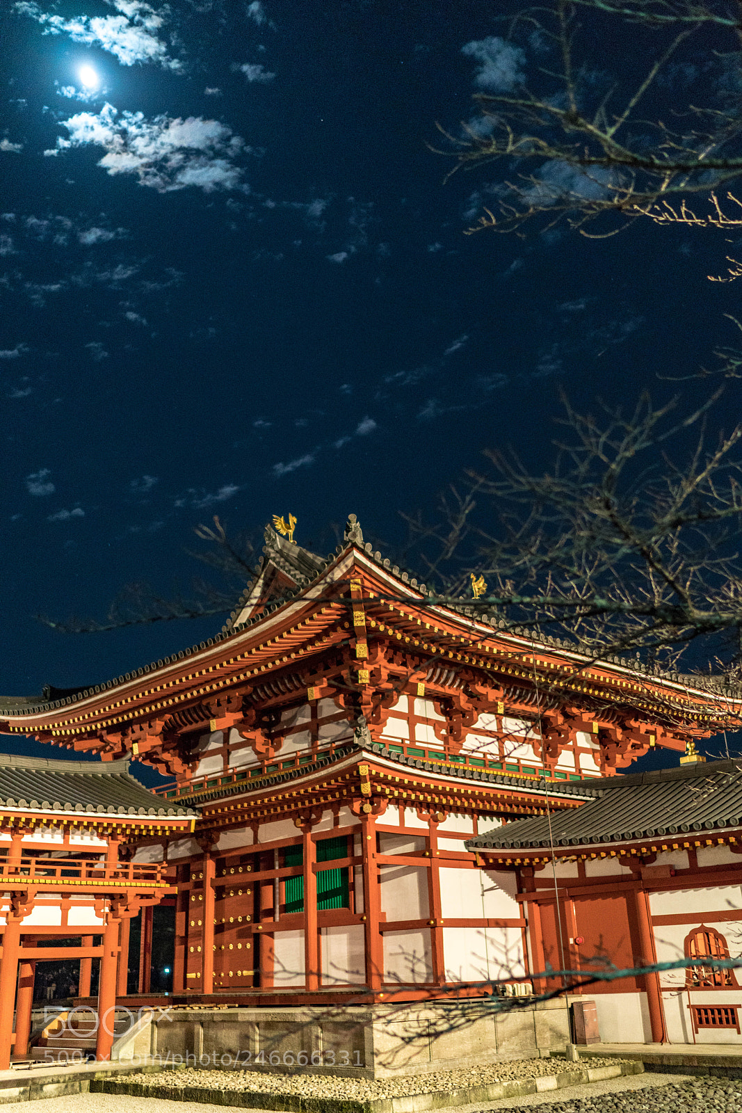 Sony a7R II sample photo. Byodoin temple_night_2017 photography