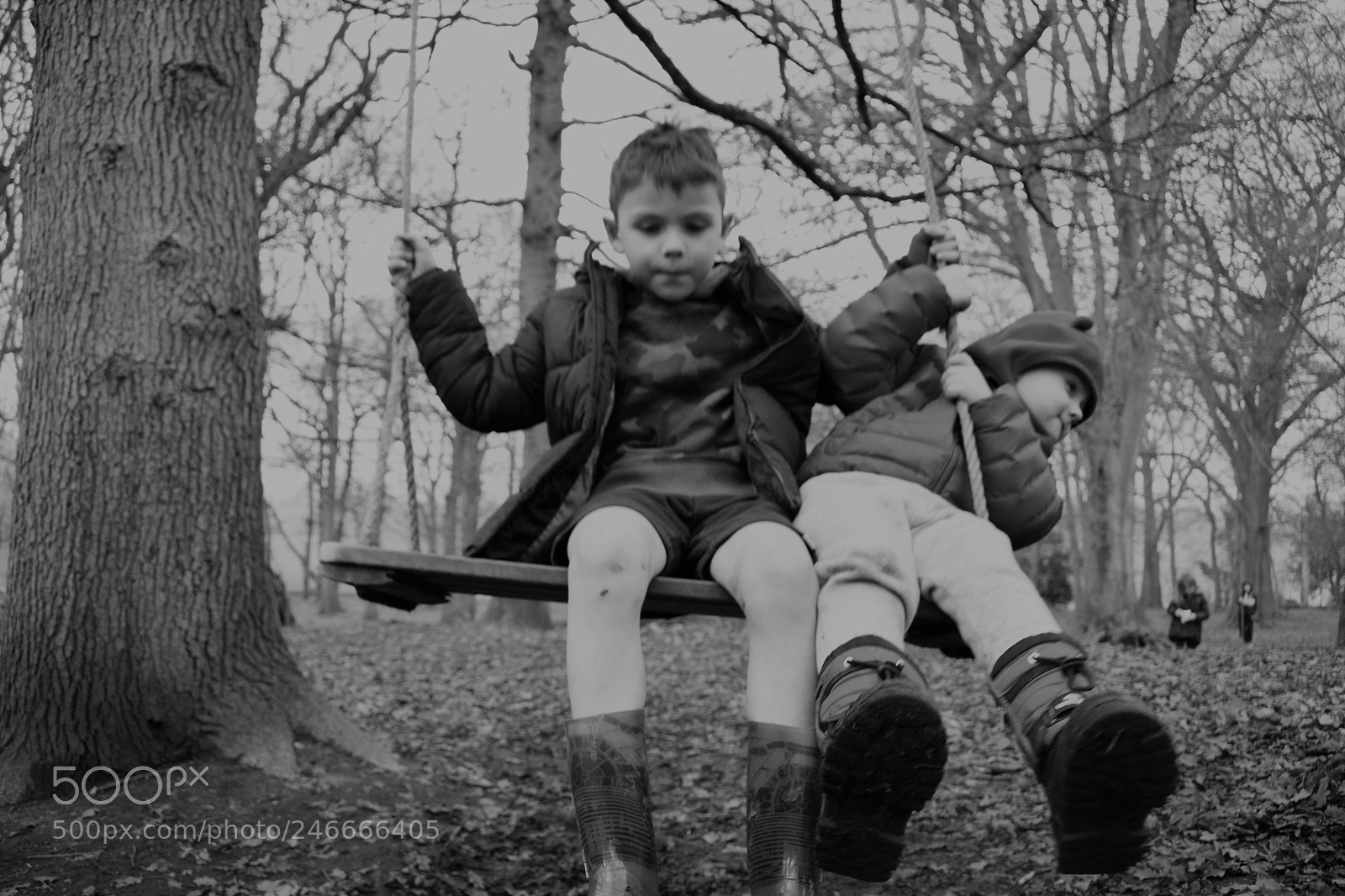 Nikon D5600 sample photo. Enchanted forest photography