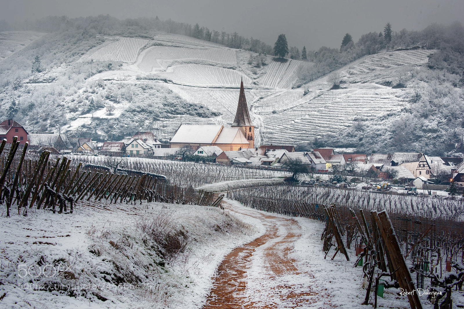 Nikon D810 sample photo. Early morning in winter photography