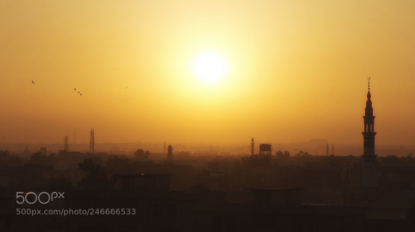 Canon EOS 60D sample photo. Another world photography