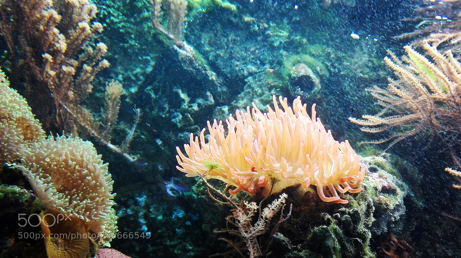HUAWEI P8 Lite sample photo. Untitled photography