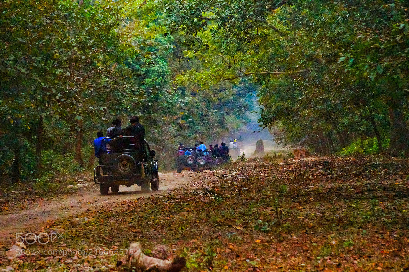 Sony SLT-A58 sample photo. Journey photography