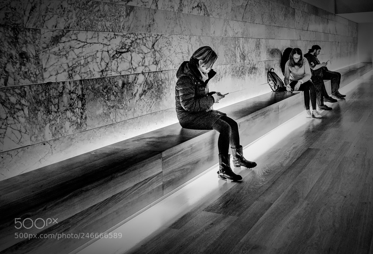 Fujifilm X-T20 sample photo. Relaxing at the museum. photography