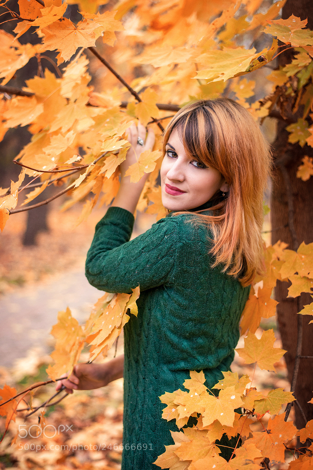 Nikon D800 sample photo. Autumn splash photography