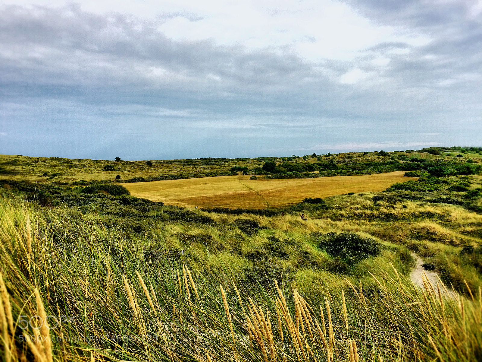 Apple iPhone 5s sample photo. Vlieland; netherlands: photography