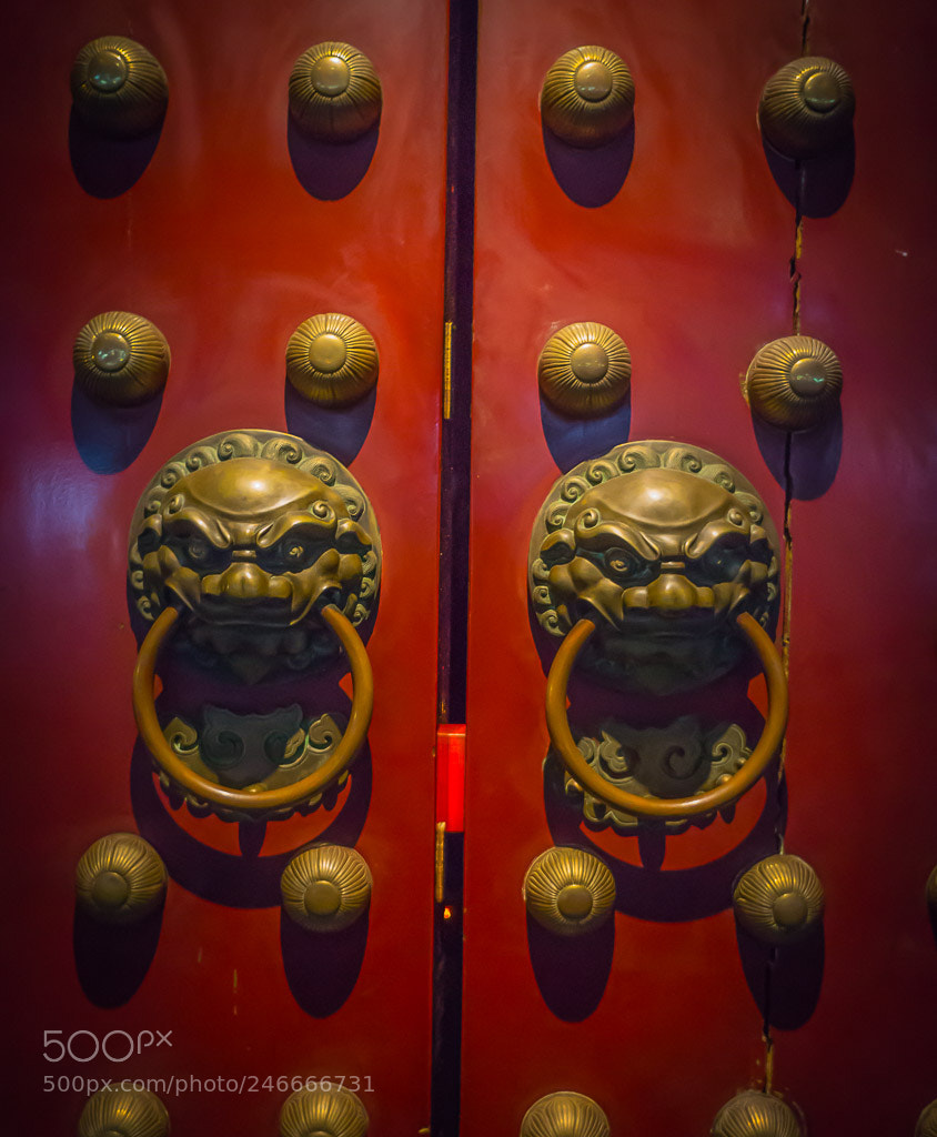 Sony Alpha a5000 (ILCE 5000) sample photo. Singapore photography
