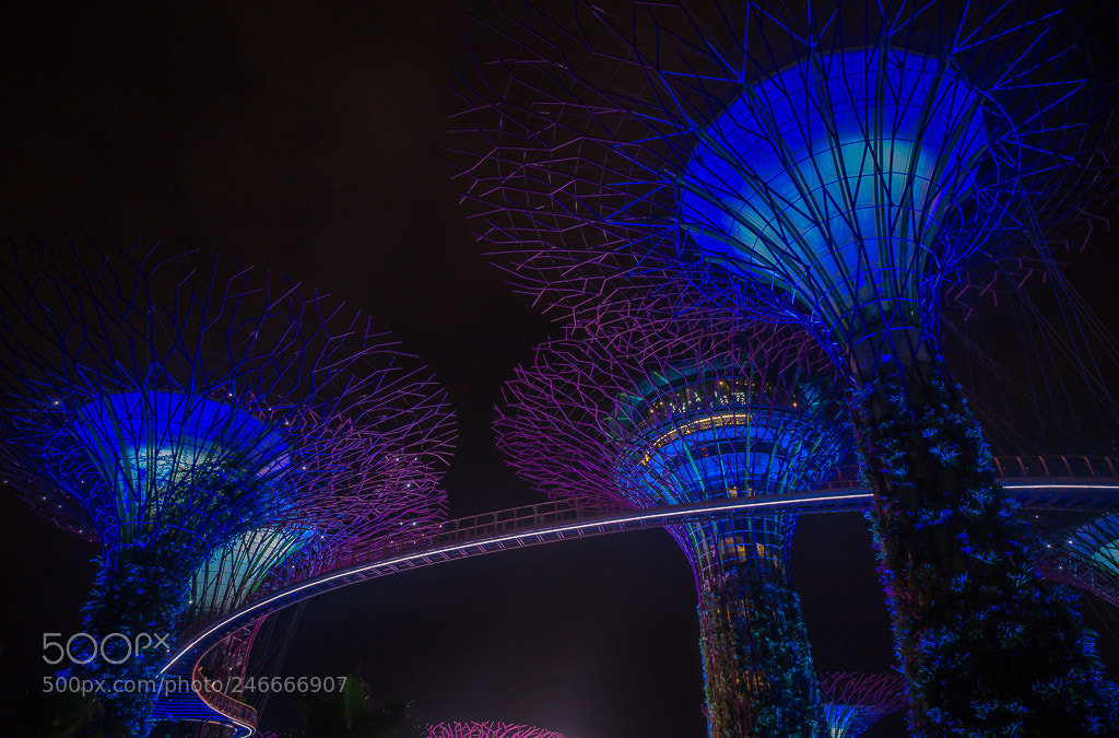 Sony Alpha a5000 (ILCE 5000) sample photo. Singapore photography