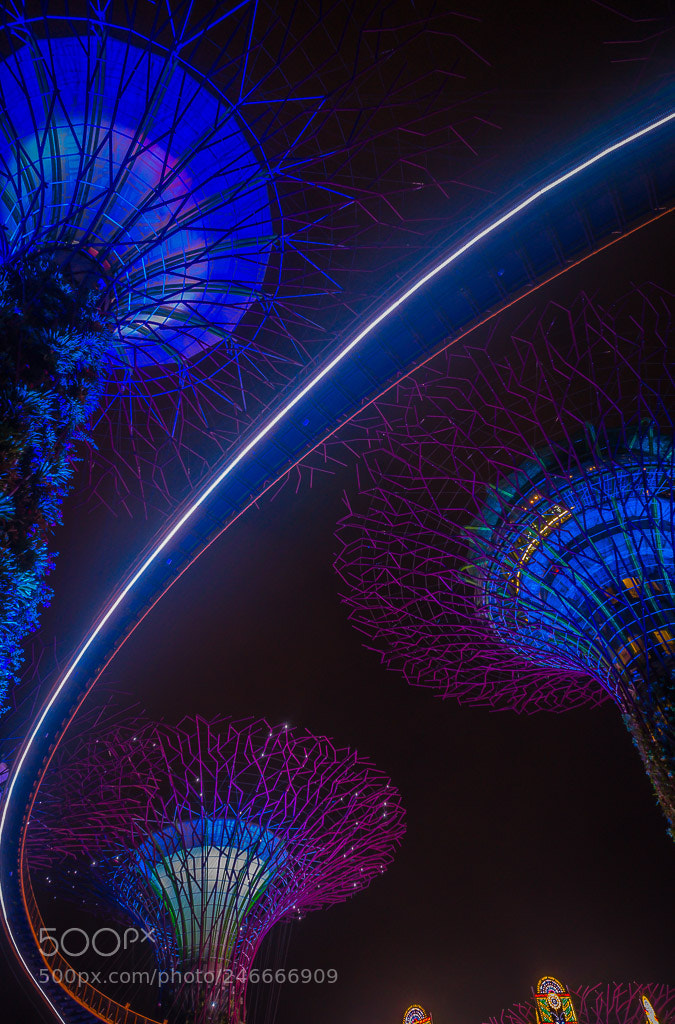 Sony Alpha a5000 (ILCE 5000) sample photo. Singapore photography