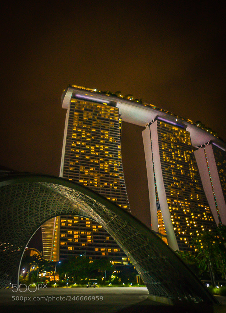 Sony Alpha a5000 (ILCE 5000) sample photo. Singapore photography