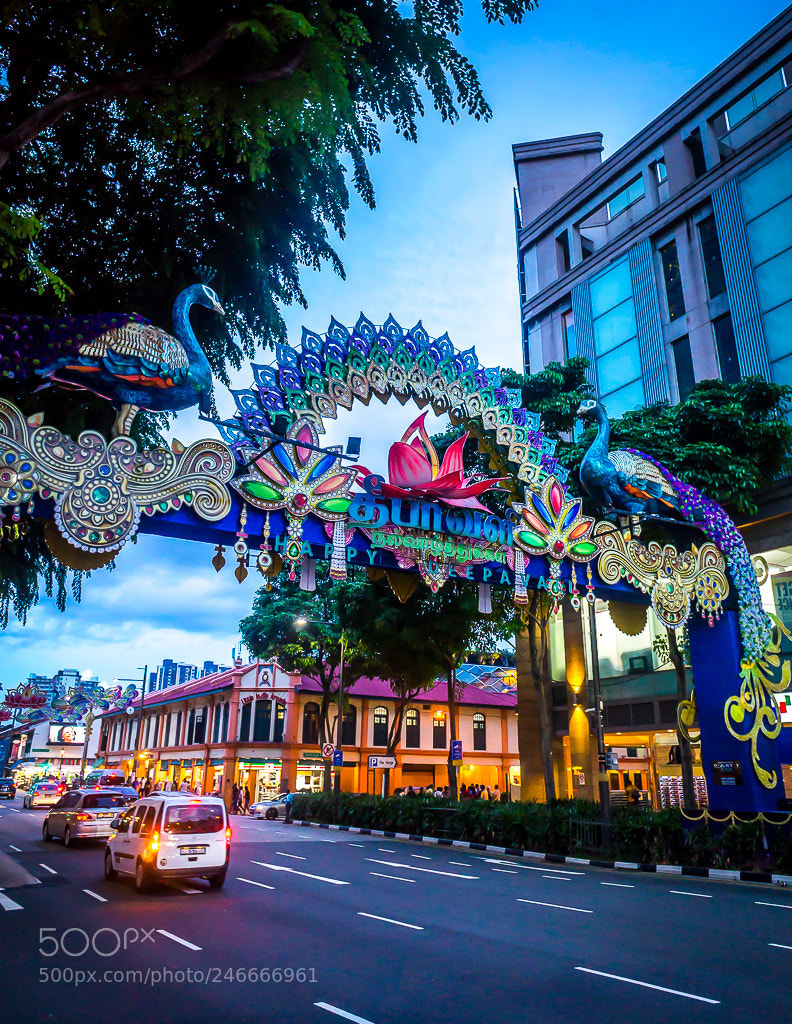 Sony Alpha a5000 (ILCE 5000) sample photo. Singapore photography