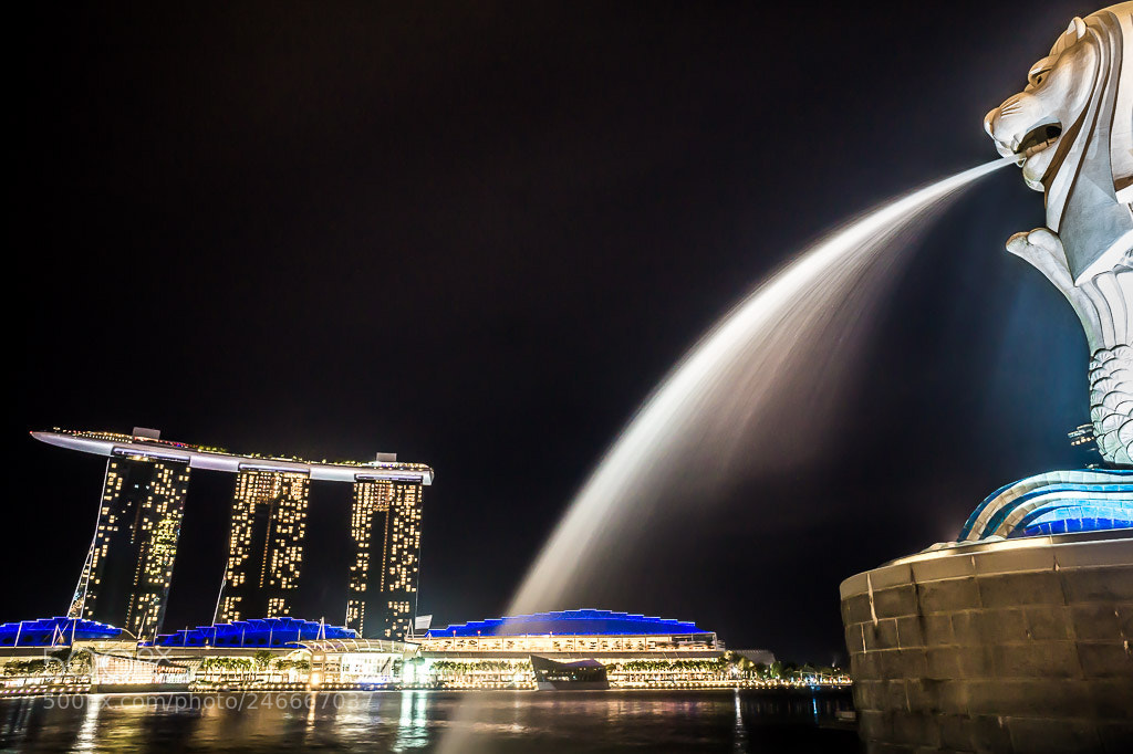 Sony Alpha a5000 (ILCE 5000) sample photo. Singapore photography