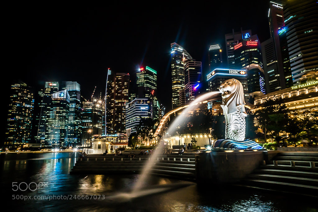 Sony Alpha a5000 (ILCE 5000) sample photo. Singapore photography