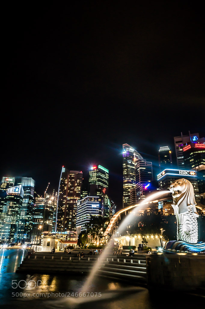 Sony Alpha a5000 (ILCE 5000) sample photo. Singapore photography