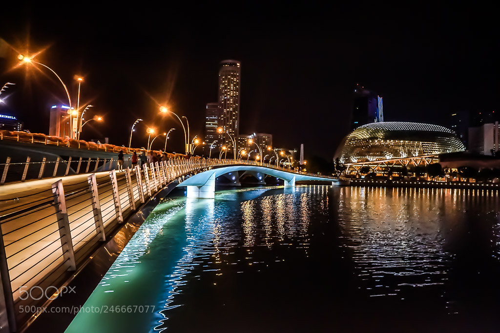 Sony Alpha a5000 (ILCE 5000) sample photo. Singapore photography