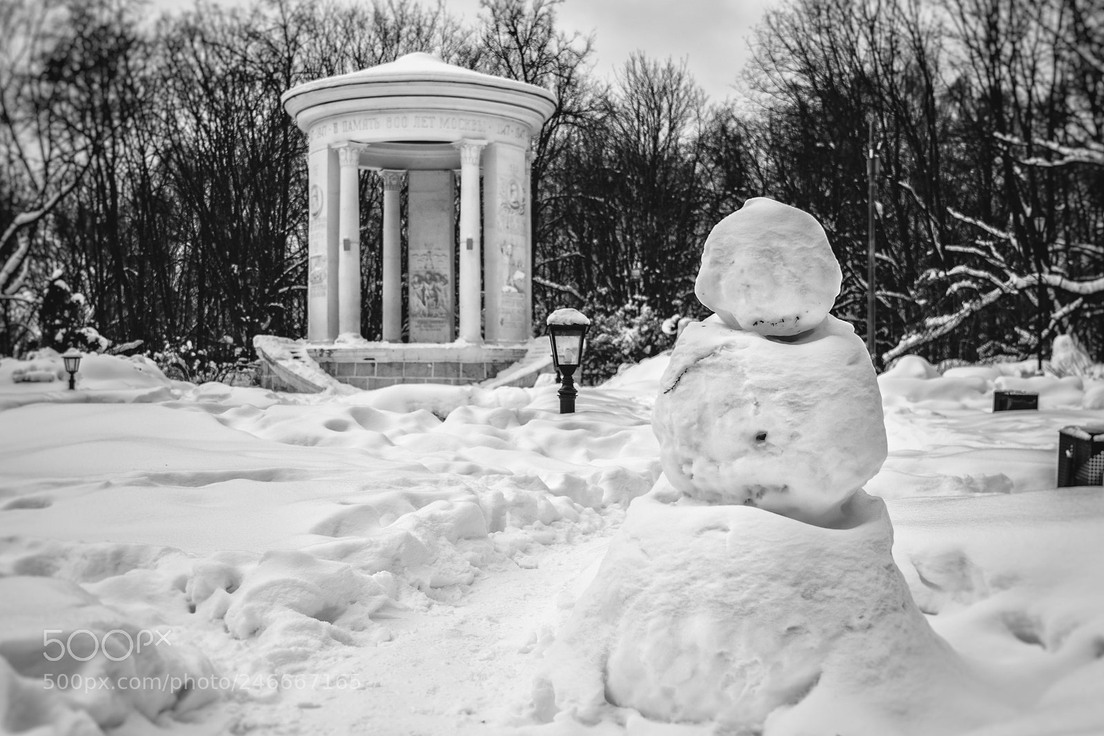 Nikon D810 sample photo. Winter in the park photography