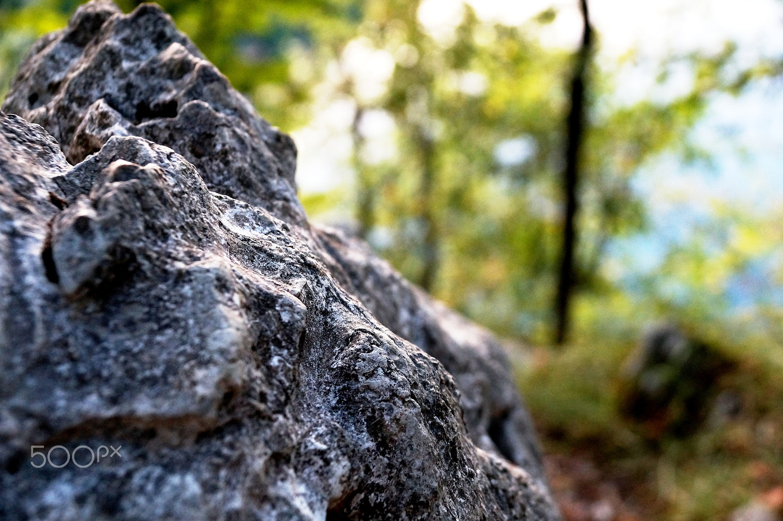 Sony DT 18-135mm F3.5-5.6 SAM sample photo. Hard like the life photography
