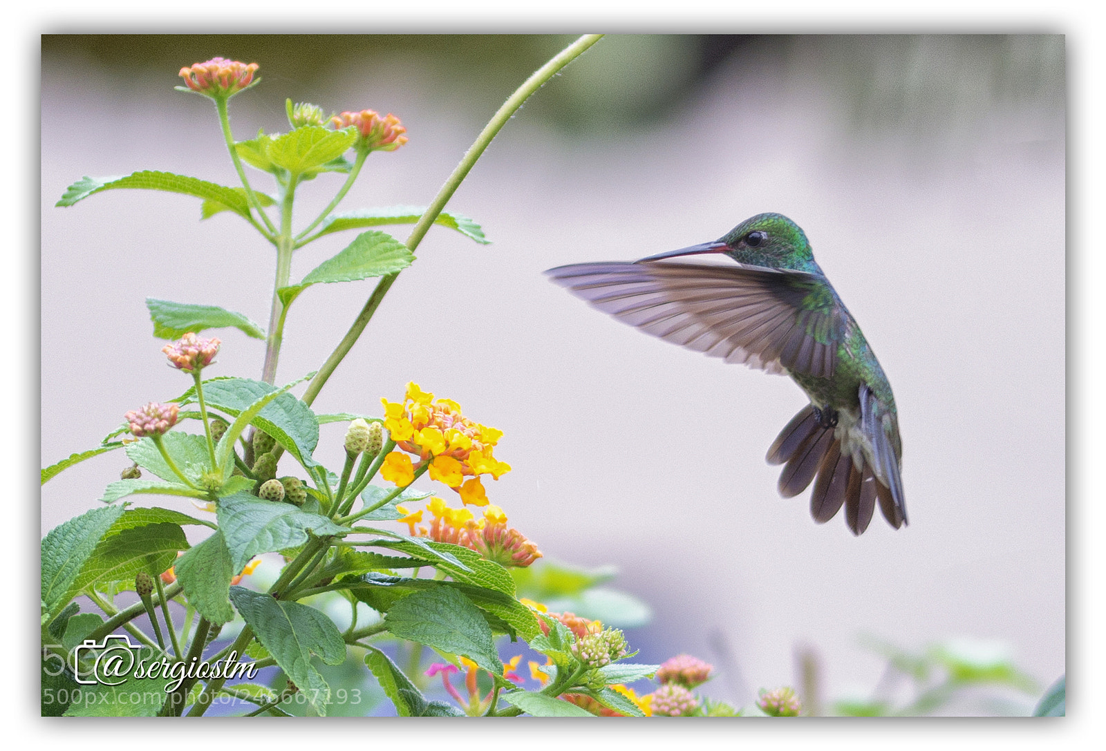 Nikon D7100 sample photo. From a sunday morning photography