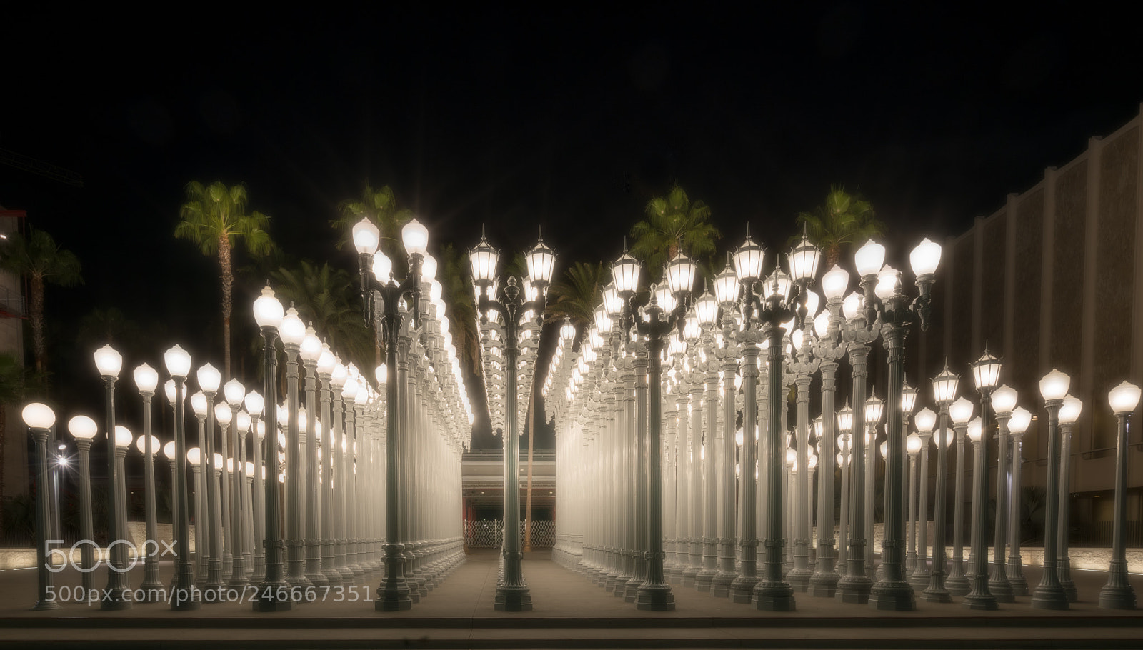 Sony a7R II sample photo. The lights photography