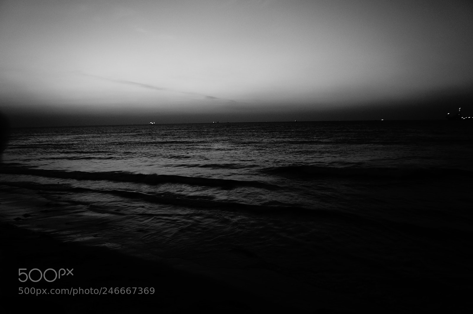 Sony SLT-A58 sample photo. Monochrome music photography
