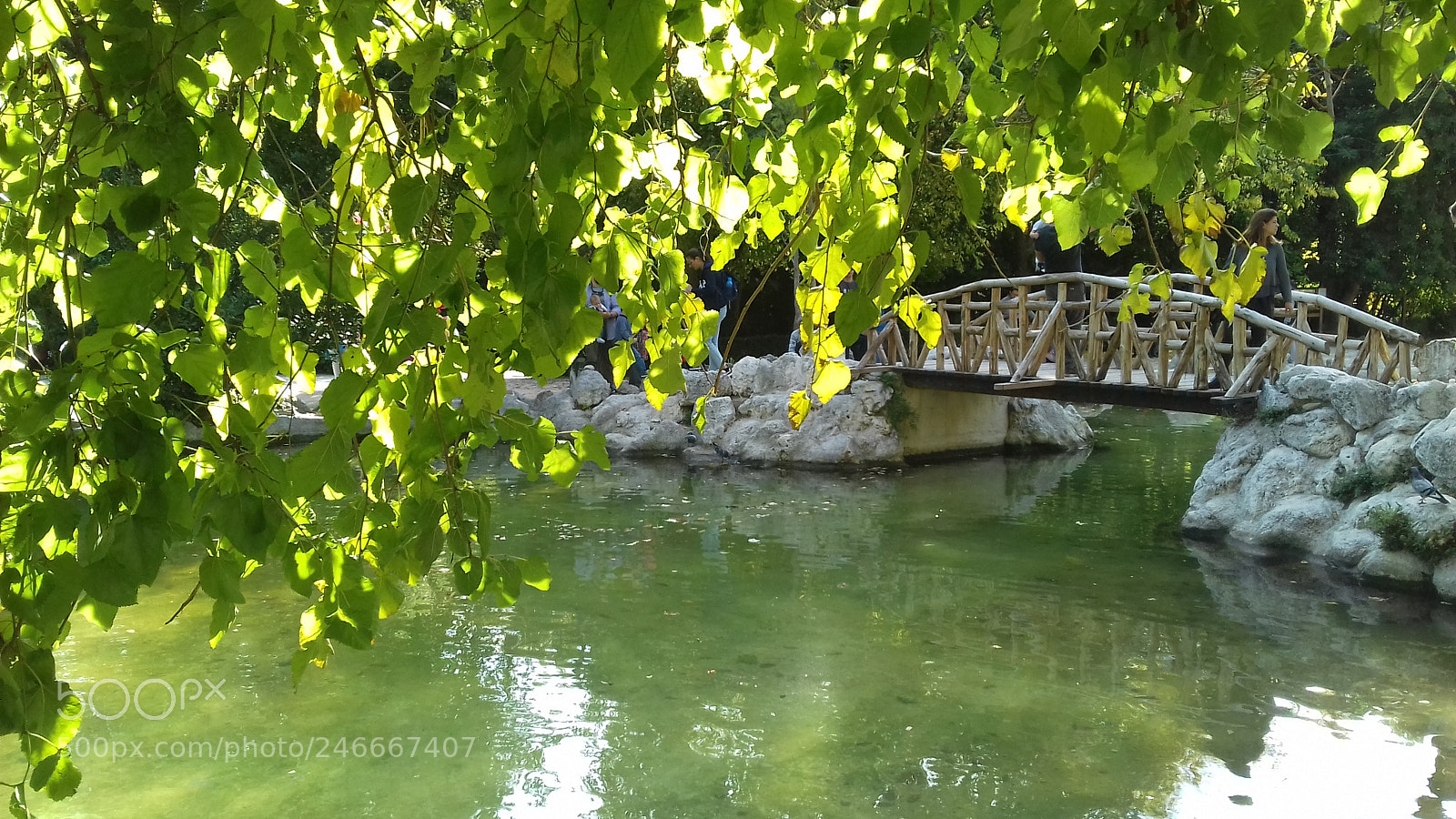Samsung Galaxy J3(2016) sample photo. Ζάππειον Εθνικός Κήπος - zapion national garden photography