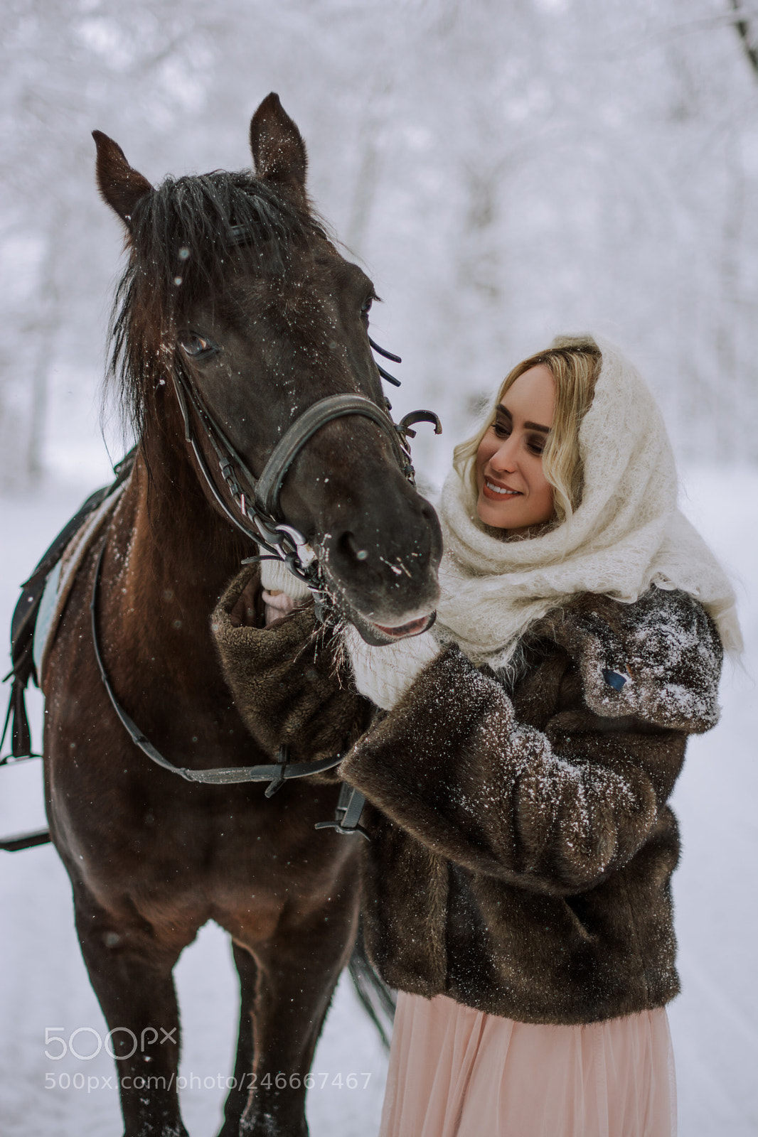 Nikon D5200 sample photo. Snowy winter photography