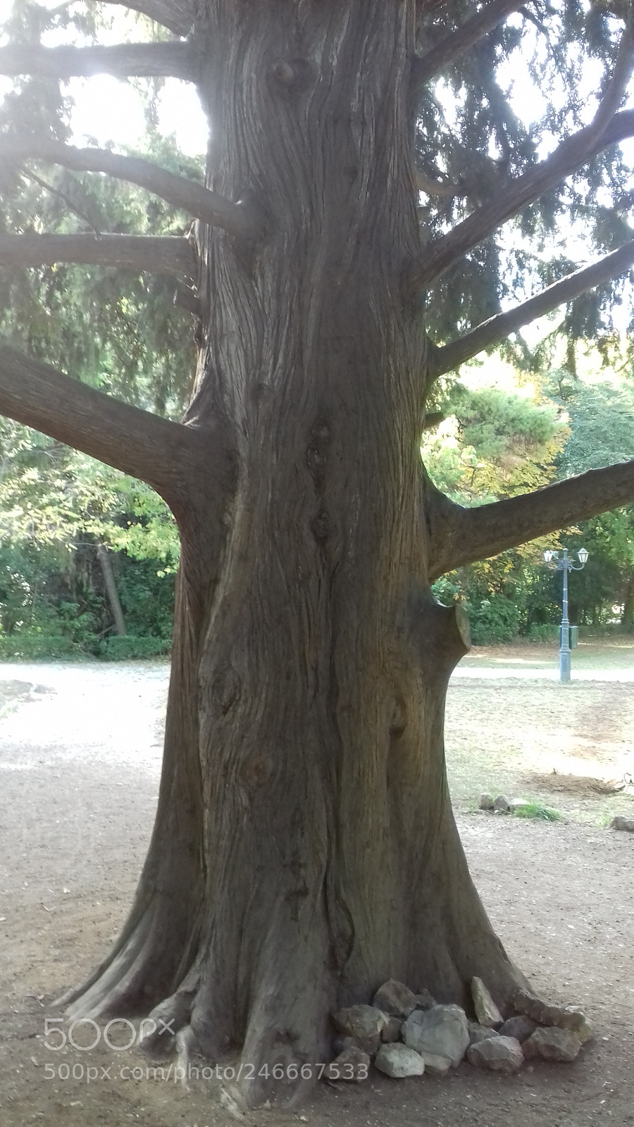 Samsung Galaxy J3(2016) sample photo. Ζάππειον Εθνικός Κήπος - zapion national garden photography