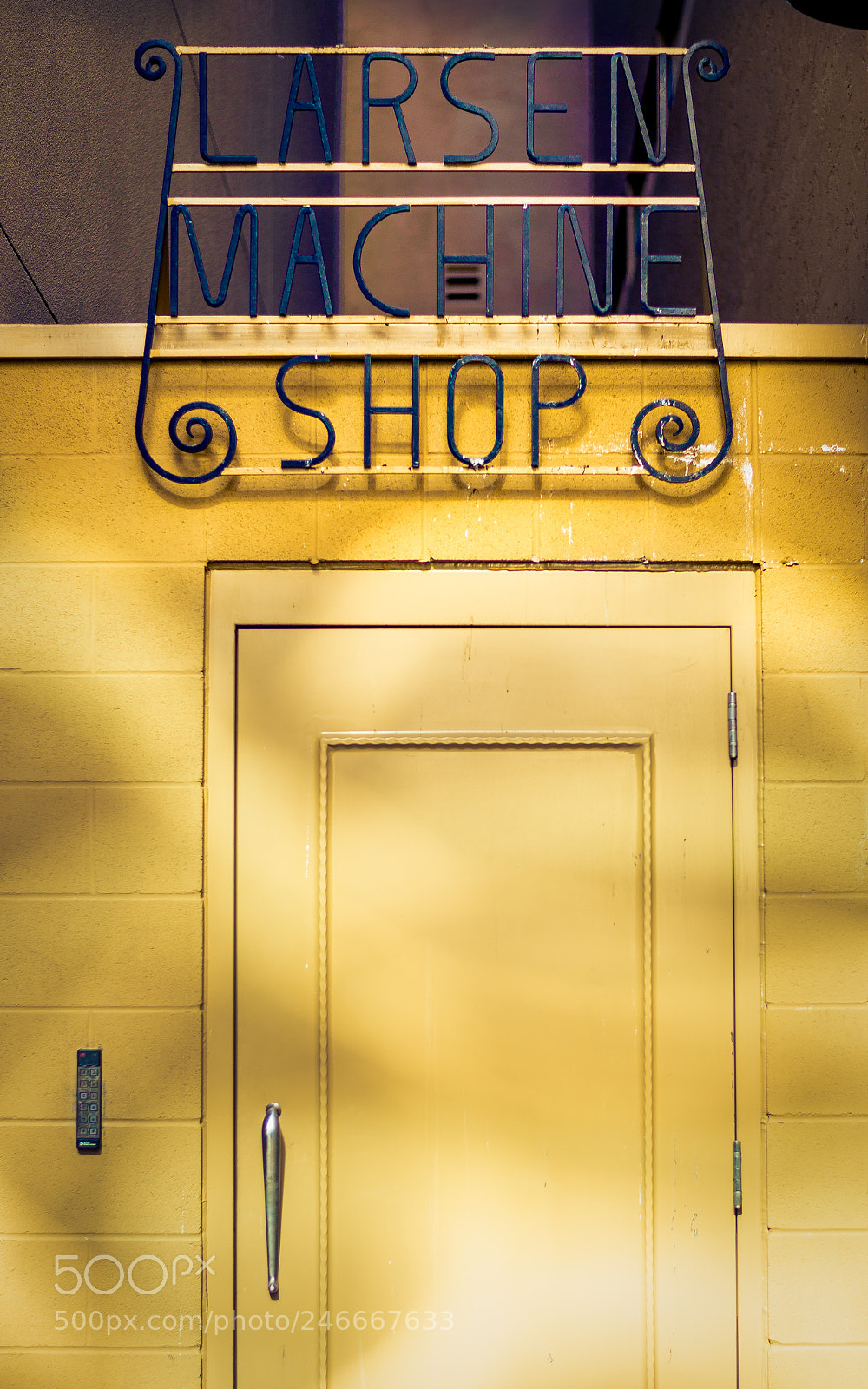 Nikon D800E sample photo. Tucked away in a photography