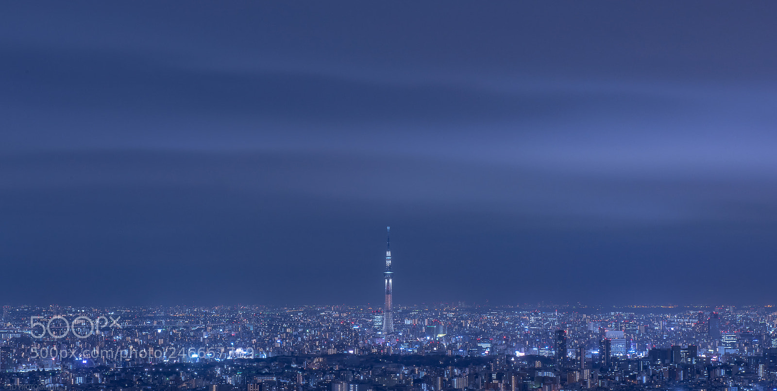 Nikon D810 sample photo. Tokyo photography